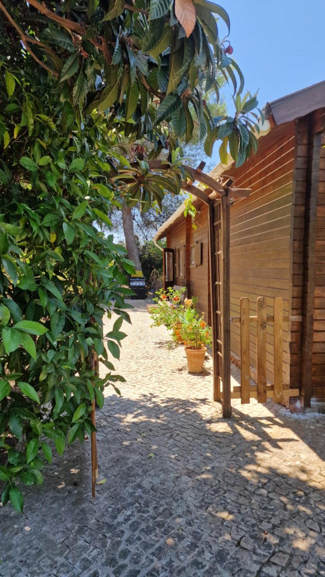 Chalet Villa Mosquito Silves Esterno foto