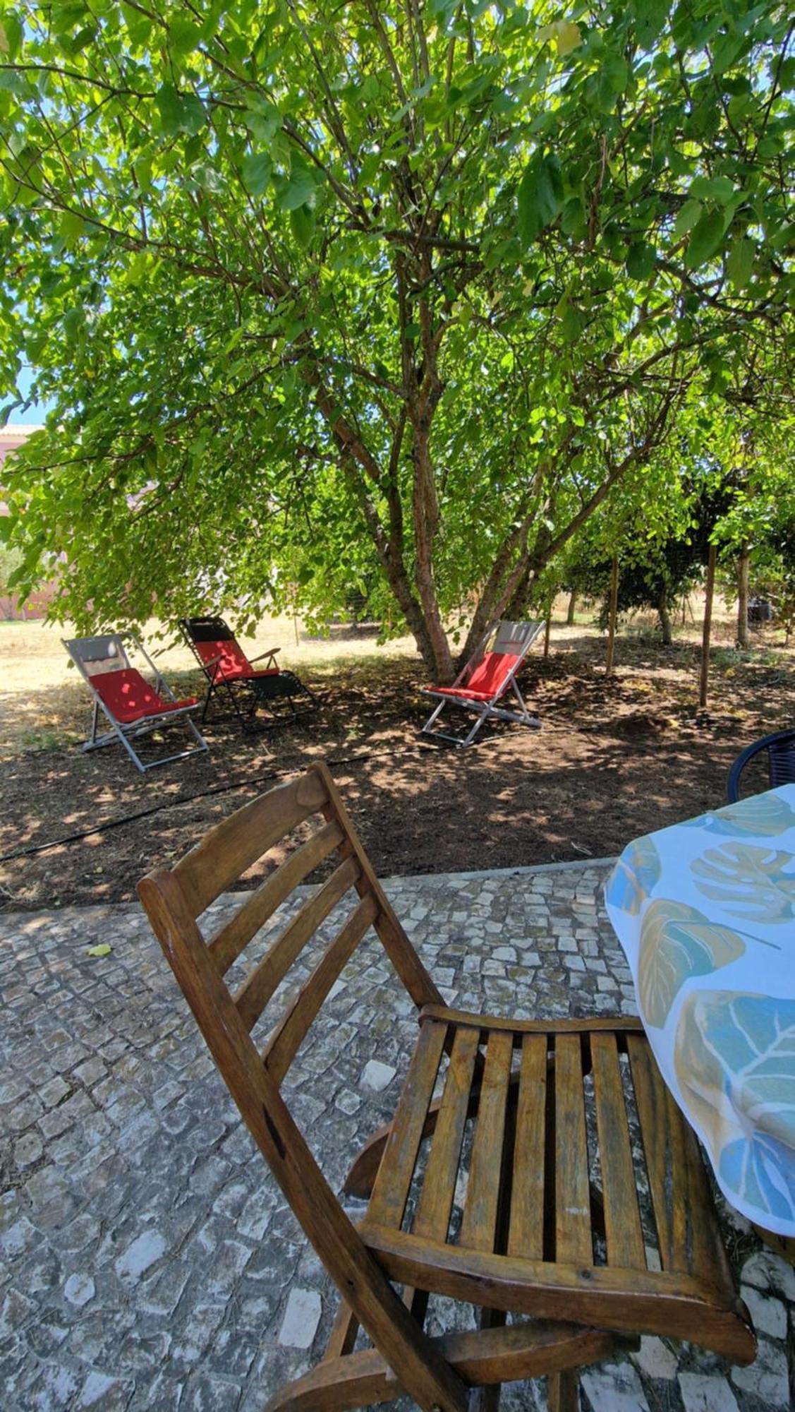 Chalet Villa Mosquito Silves Esterno foto