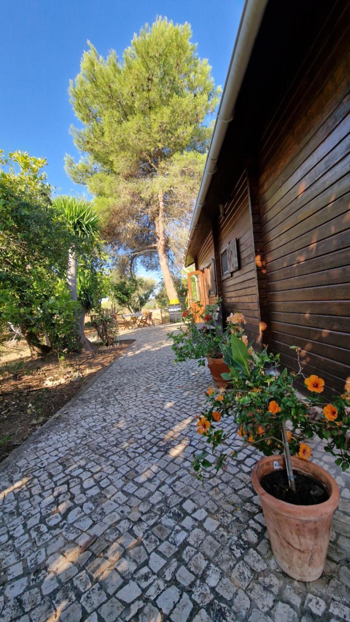 Chalet Villa Mosquito Silves Esterno foto