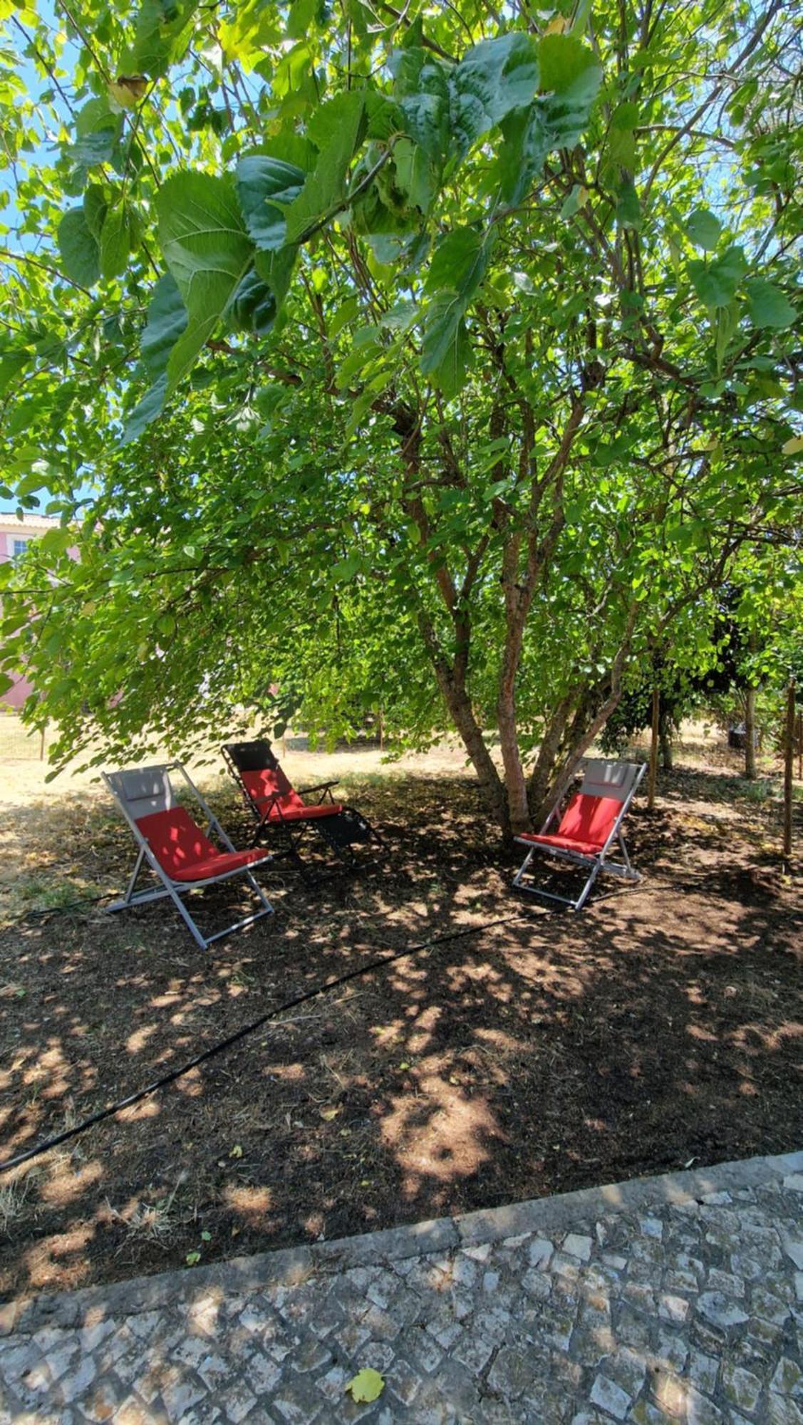 Chalet Villa Mosquito Silves Esterno foto