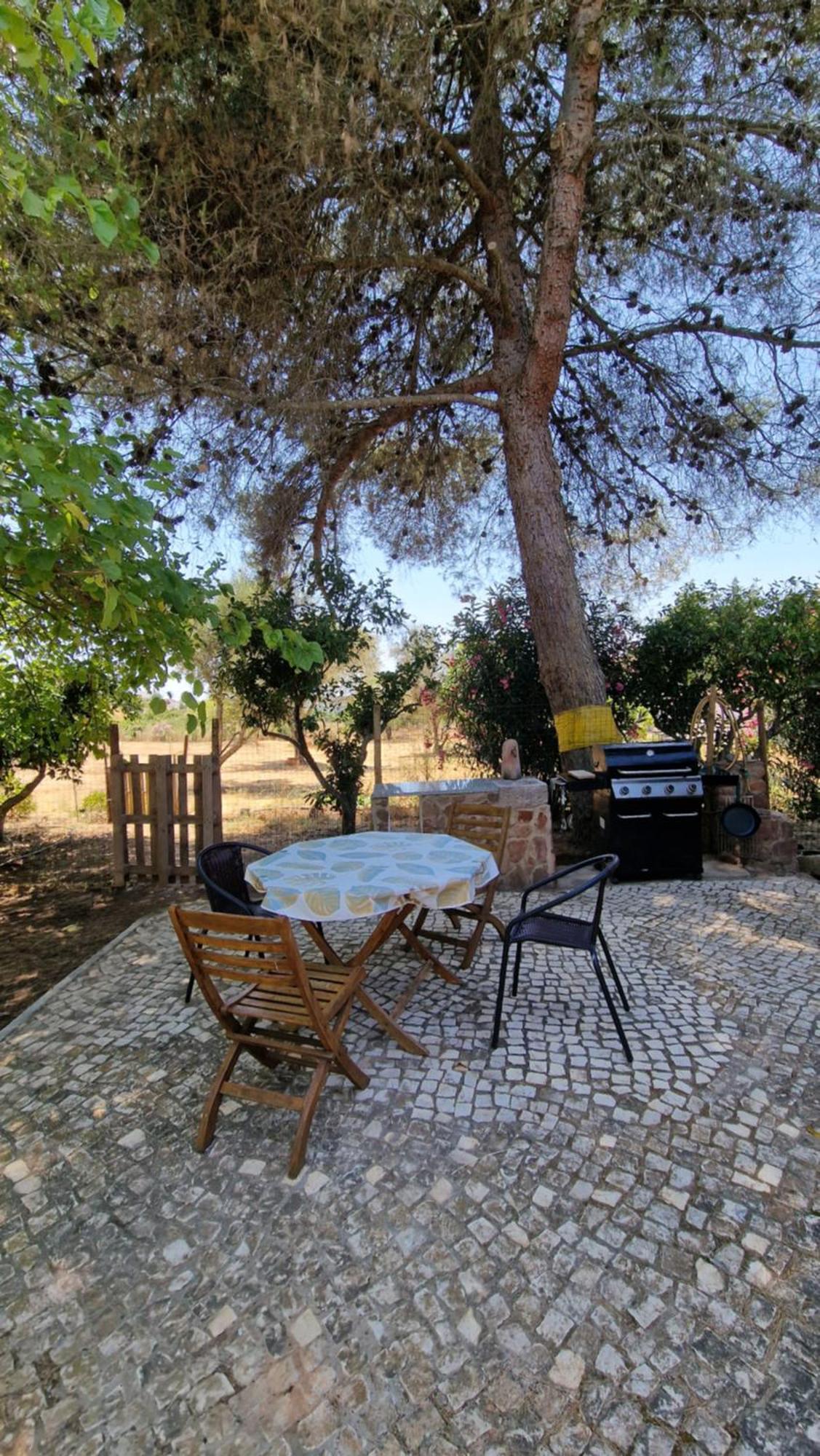 Chalet Villa Mosquito Silves Esterno foto