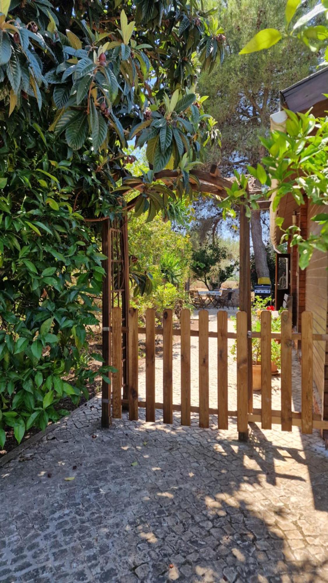 Chalet Villa Mosquito Silves Esterno foto