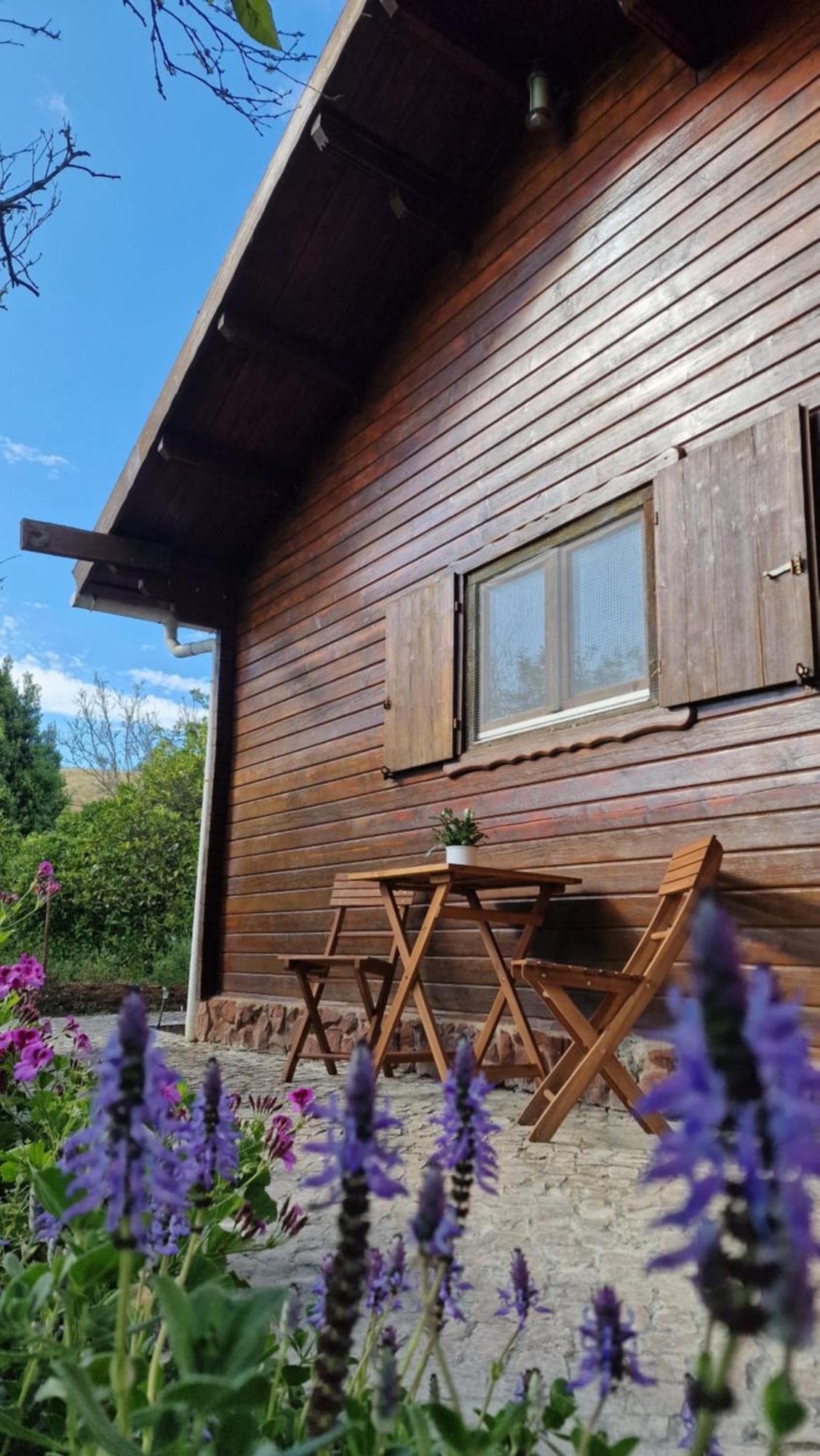 Chalet Villa Mosquito Silves Esterno foto